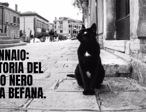 Il Gatto Nero della Befana