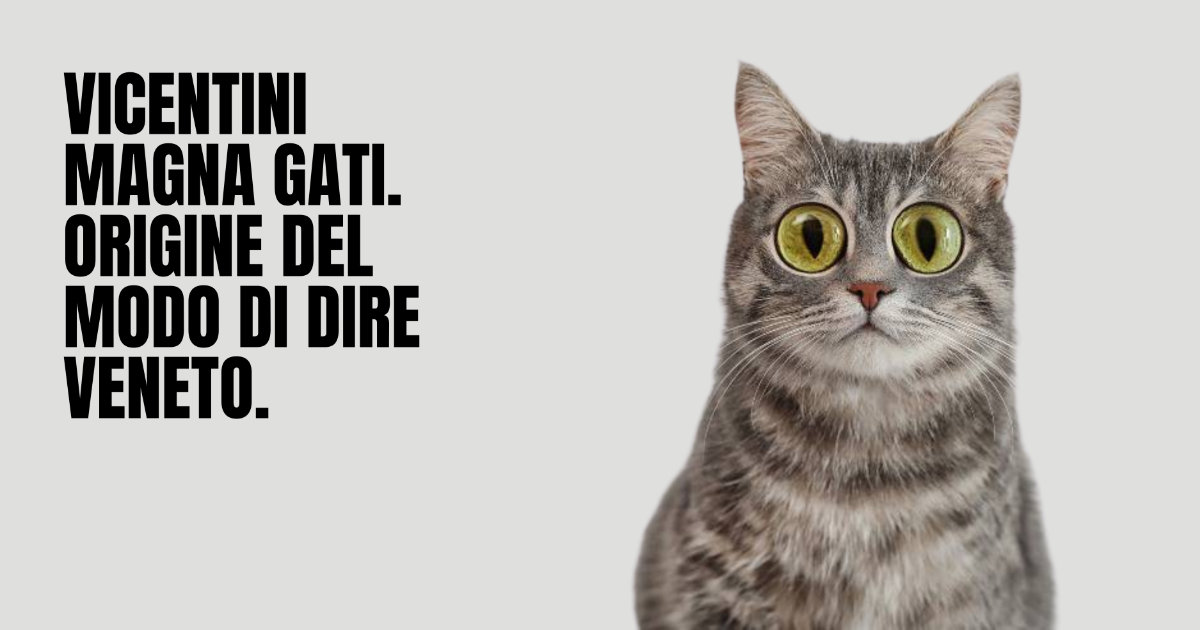 Vicentini Magna Gatti